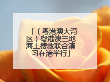（粤港澳大湾区）粤港澳三地海上搜救联合演习在港举行