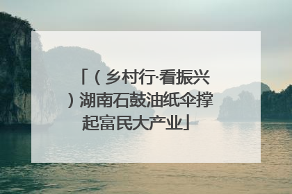 （乡村行·看振兴）湖南石鼓油纸伞撑起富民大产业