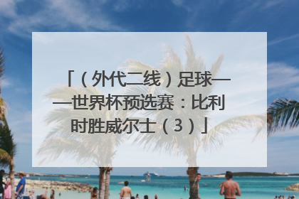 （外代二线）足球——世界杯预选赛：比利时胜威尔士（3）