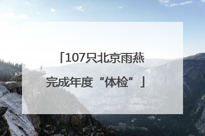 107只北京雨燕完成年度“体检”