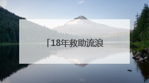18年救助流浪猫近千只！冰城蔡大姐的猫咪情缘