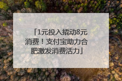 1元投入撬动8元消费！支付宝助力合肥激发消费活力