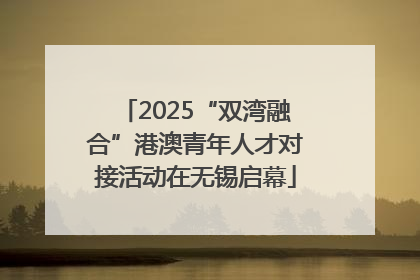 2025“双湾融合”港澳青年人才对接活动在无锡启幕