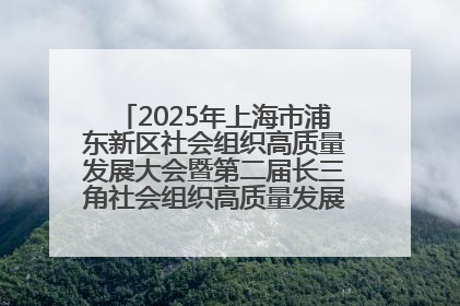 2025年上海市浦东新区社会组织高质量发展大会暨第二届长三角社会组织高质量发展峰会成功举办