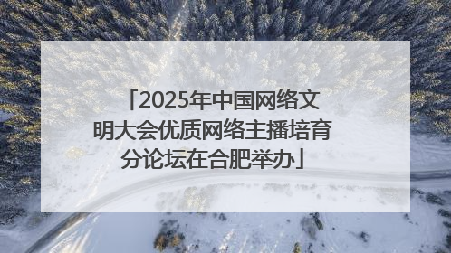 2025年中国网络文明大会优质网络主播培育分论坛在合肥举办