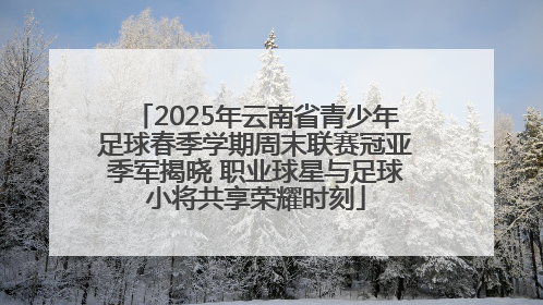 2025年云南省青少年足球春季学期周末联赛冠亚季军揭晓 职业球星与足球小将共享荣耀时刻
