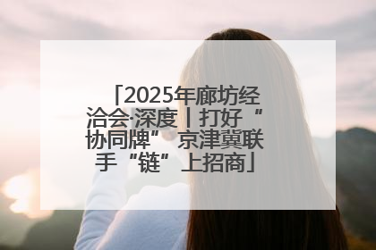 2025年廊坊经洽会·深度丨打好“协同牌” 京津冀联手“链”上招商