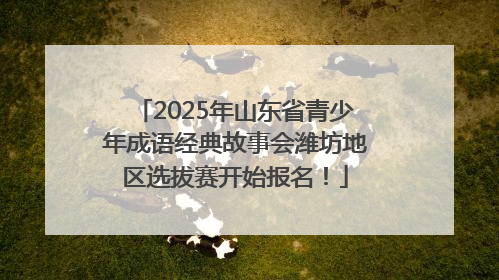 2025年山东省青少年成语经典故事会潍坊地区选拔赛开始报名！