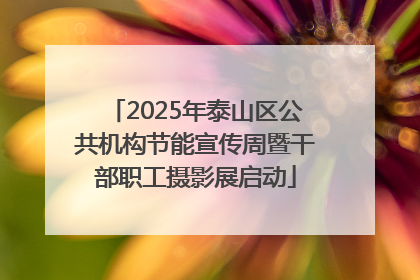 2025年泰山区公共机构节能宣传周暨干部职工摄影展启动