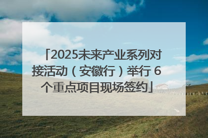 2025未来产业系列对接活动（安徽行）举行 6个重点项目现场签约