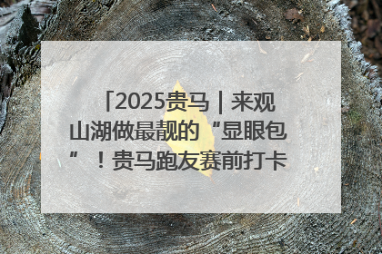2025贵马｜来观山湖做最靓的“显眼包”！贵马跑友赛前打卡点燃奔跑热情