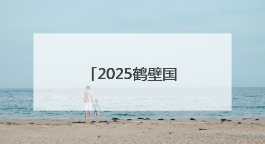2025鹤壁国际匹克球邀请赛圆满落幕 300余名选手激情对决