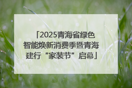 2025青海省绿色智能焕新消费季暨青海建行“家装节”启幕