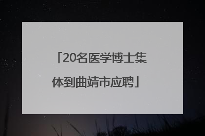 20名医学博士集体到曲靖市应聘