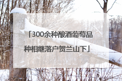 300余种酿酒葡萄品种相继落户贺兰山下