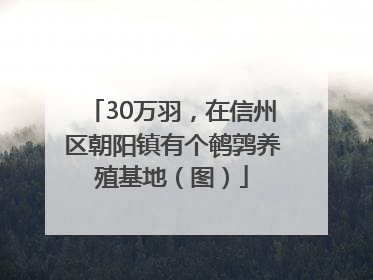 30万羽，在信州区朝阳镇有个鹌鹑养殖基地（图）