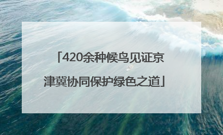 420余种候鸟见证京津冀协同保护绿色之道