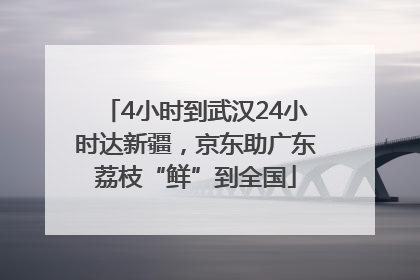 4小时到武汉24小时达新疆，京东助广东荔枝“鲜”到全国