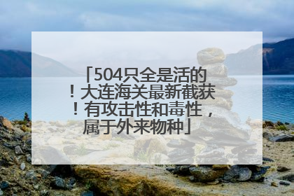 504只全是活的！大连海关最新截获！有攻击性和毒性，属于外来物种