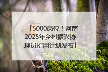 5000岗位！河南2025年乡村振兴协理员招用计划发布