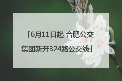6月11日起 合肥公交集团新开324路公交线