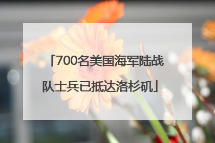 700名美国海军陆战队士兵已抵达洛杉矶