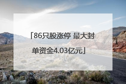86只股涨停 最大封单资金4.03亿元