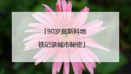 90岁莫斯科地铁记录城市秘密