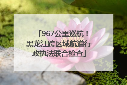 967公里巡航！黑龙江跨区域航道行政执法联合检查