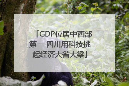 GDP位居中西部第一 四川用科技挑起经济大省大梁